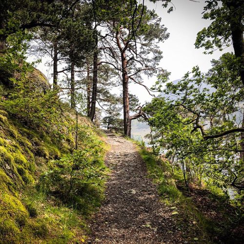 Ullswater Way Guided Walk - The Ullswater Way in a Day, Lake District